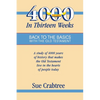 4,000 Years in Thirteen Weeks: Back to the Basics with the Old Testament - Paperback