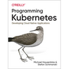 Programming Kubernetes: Developing Cloud-Native Applications - Paperback