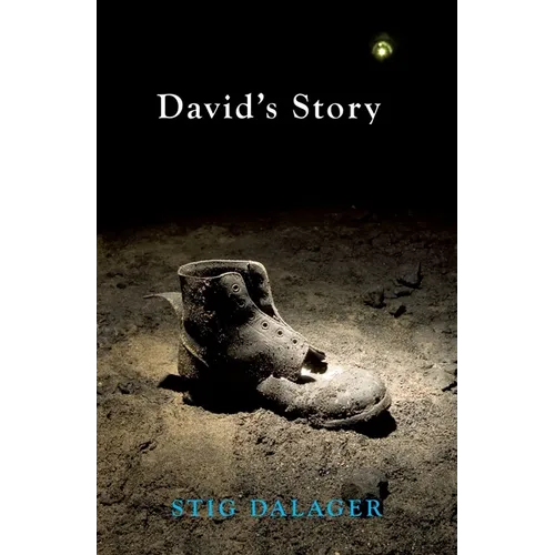 David's Story - Paperback