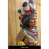 Cigar Store Indian - Paperback