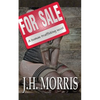For Sale: A Human Trafficking Novel - Paperback