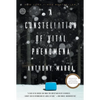 A Constellation of Vital Phenomena - Paperback