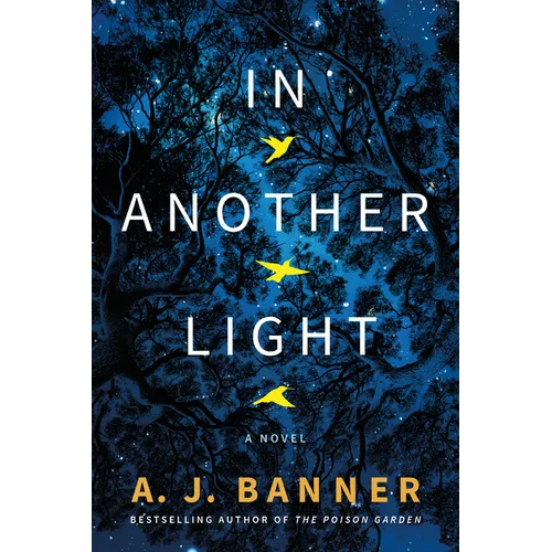 In Another Light - Paperback