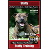 Staffy, Staffy Training Book for Staffy Dogs & Puppies By BoneUP DOG Training: Are You Ready to Bone Up? Easy Training * Fast Results Staffy Training - Paperback