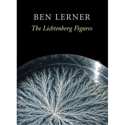 The Lichtenberg Figures - Paperback