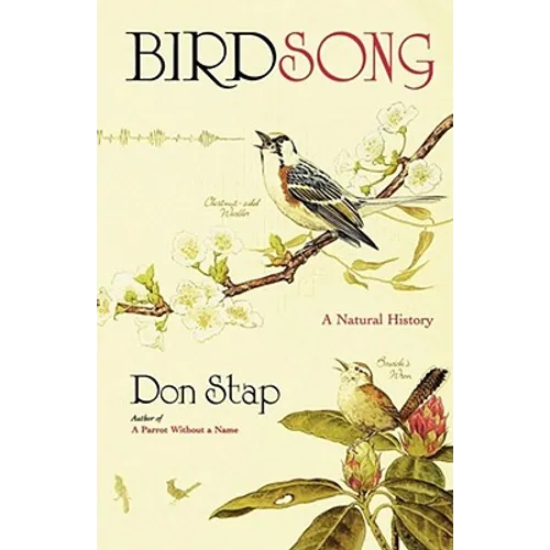 Birdsong - Paperback
