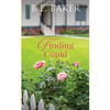 Finding Cupid - Paperback