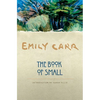 The Book of Small - Paperback