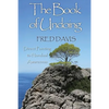 The Book of Undoing: Direct Pointing to Nondual Awareness - Paperback