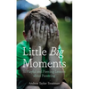 Little Big Moments: 51 Playful and Piercing Lessons about Parenting - Paperback