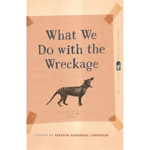 What We Do with the Wreckage: Stories - Paperback