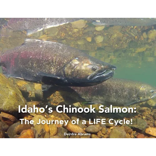 Idaho's Chinook Salmon: The Journey of a LIFE Cycle - Paperback