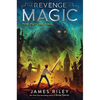 The Future King - Paperback