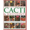 The Complete Illustrated Guide to Growing Cacti & Succulents: The Definitive Practical Reference on Identification, Care and Cultivation, with a Direc - Paperback