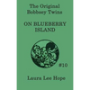 The Bobbsey Twins on Blueberry Island: A Classic Adventure of the Bobbsey Twins on a Summer Island - Hardcover