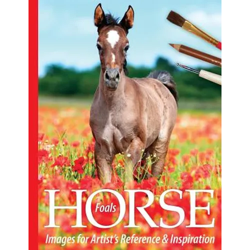 Foals: Horse Images for Artist's Reference and Inspiration - Paperback