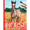 Foals: Horse Images for Artist's Reference and Inspiration - Paperback