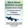 Black Ghost Knifefish as Pets, Incuding African Knifefish, Clown Knifefish... Complete Owner's Guide. Black Ghost, Ghost Knifefish, Selecting, Caring, - Paperback
