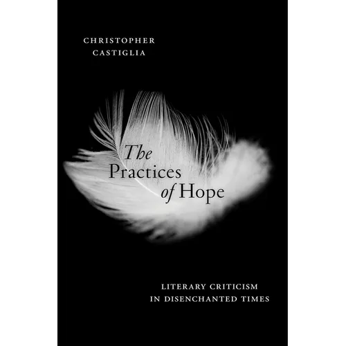 The Practices of Hope: Literary Criticism in Disenchanted Times - Paperback