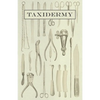 Taxidermy - Paperback