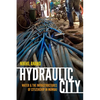 Hydraulic City: Water and the Infrastructures of Citizenship in Mumbai - Paperback