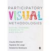 Participatory Visual Methodologies: Social Change, Community and Policy - Paperback