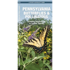 Pennsylvania Butterflies & Pollinators: A Folding Pocket Guide to Familiar Species