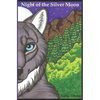 Night of the Silver Moon - Paperback