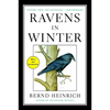 Ravens in Winter - Paperback