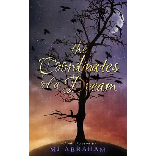 The Coordinates of a Dream - Paperback