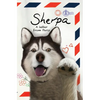 Sherpa, A Letter From Paris - Hardcover