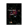 A Wilderness of Stars - Paperback
