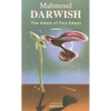 The Adam of Two Edens - Paperback
