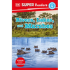 DK Super Readers Level 4 Rivers, Lakes, and Marshes - Paperback