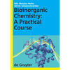 Bioinorganic Chemistry: A Practical Course - Hardcover