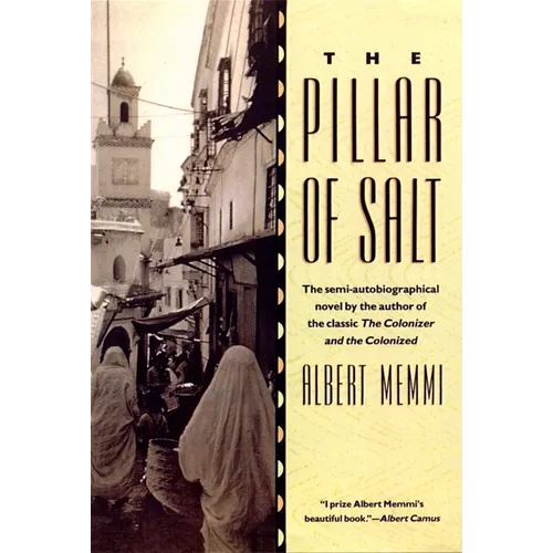 The Pillar of Salt - Paperback
