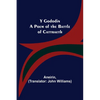 Y Gododin: A Poem of the Battle of Cattraeth - Paperback