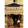 Mount Pleasant - Hardcover
