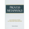 Process Metaphysics: An Introduction to Process Philosophy - Paperback