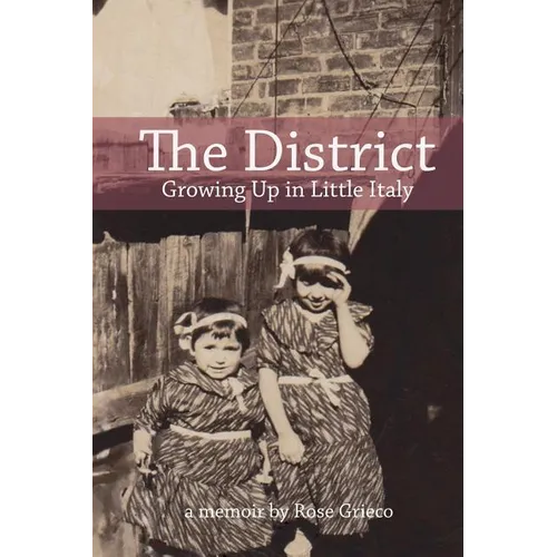 The District: Growing Up in Little Italy - Paperback