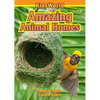 Amazing Animal Homes - Paperback