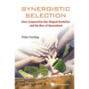 Synergistic Selection - Paperback