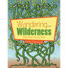 Wandering in the Wilderness: Adult Maze Activity Book - Paperback