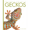 Geckos - Paperback