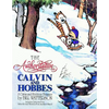 The Authoritative Calvin and Hobbes: A Calvin and Hobbes Treasury Volume 2 - Paperback