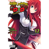 High School DXD, Vol. 12 (Light Novel): Supplementary Lesson Heroes Volume 12 - Paperback