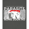 Parasite: A Graphic Novel in Storyboards - Hardcover