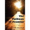 The Pathway of Promise, Words of Comfort to the Christian Pilgrim - Paperback