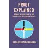 Prout Explained: A Brief Introduction to the Progressive Utilization Theory - Paperback