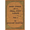 Short Stories of a Small Town Lawyer, Book 2 - Paperback